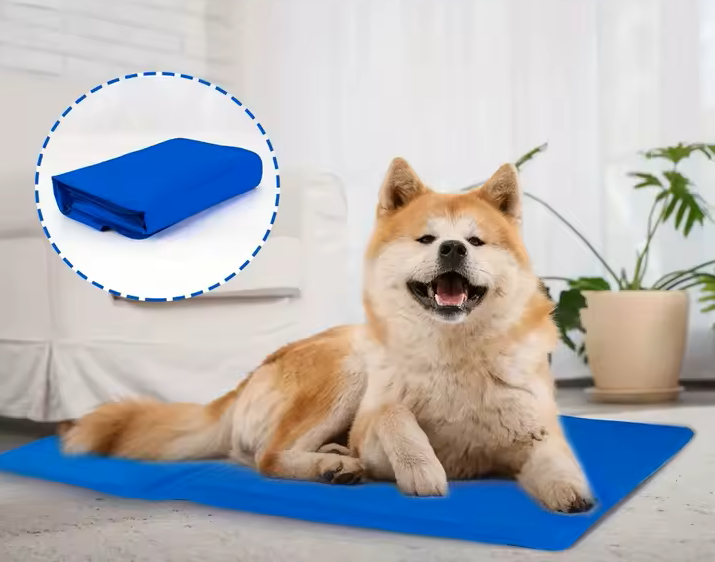 gid://shopify/MediaImage/40579906601178